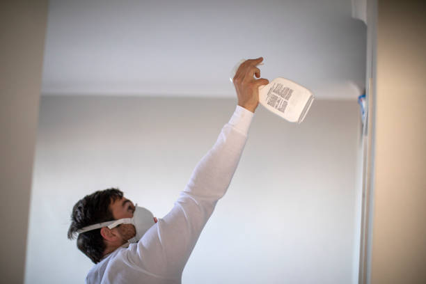 Best Kitchen Mold Remediation in Dumas, TX