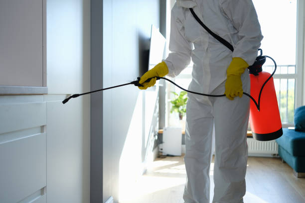 Best HVAC Mold Remediation in Dumas, TX