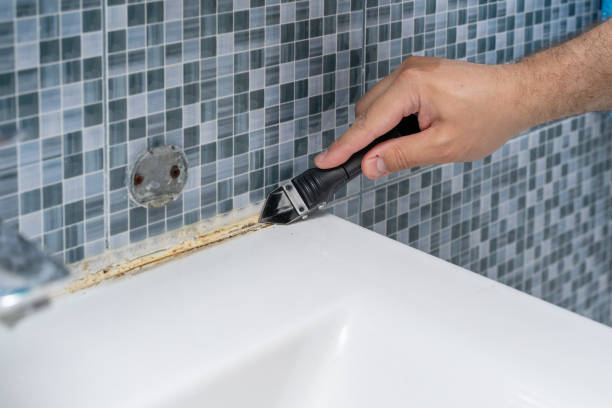 Best Mold Remediation for Specific Building Types in Dumas, TX